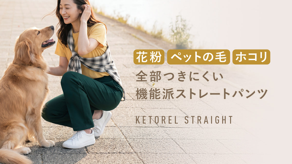 スライド画像